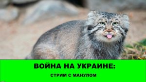 19.07 Война на Украине: Стрим с Манулом