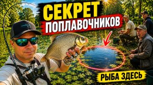 ПОЧЕМУ ВСЕ ПОПЛАВОЧНИКИ СИДЯТ ИМЕННО ЗДЕСЬ? Проверил мормышингом. Cadence STEALTH NANO Travel