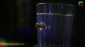 Полный выпуск новостей от 18.07.2026
