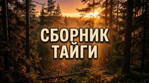 СБОРНИК РАССКАЗОВ ЛЕС | Аудио рассказы