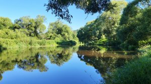 Рыболовное путешествие, река Нара(Калужская область)