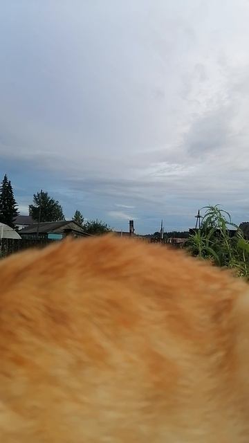 деревня смотреть онлайн