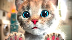 Милый котёнок, маленькая кошеч
