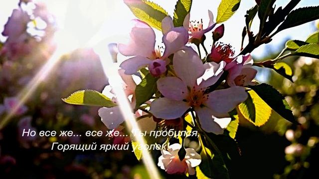 4. стр 51 инт