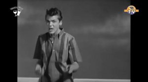 Brian Hyland - Itsy Bitsy Teenie Weenie Yellow Polka Dot Bikini  (1960) 192tv