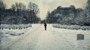 Таврический зимой (Декабрь 2024)