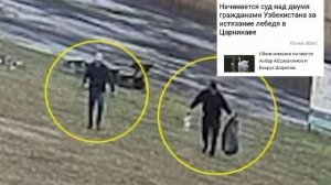 😱В Латвии судят двух мигрантов из Узбекистана, изнасиловавших … лебедя