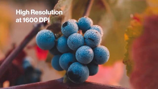 VIPColor серий VP500, VP600 и VP700 — принтеры для печати этикеток по требованию