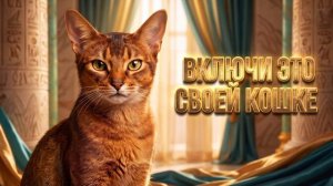 Посмотри на реакцию своего питомца. Египетская музыка для кошек