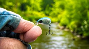 ЭТОТ ВОБЛЕР-КАПЛЯ — «КЛЮЧИК» К ГОЛАВЛЮ! 🔑  ЛЕТНЯЯ РЫБАЛКА НА МИКРОРЕЧКЕ 🎣