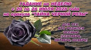 «ВАША НЕДЕЛЯ с 20 по 26 ИЮЛЯ 2026»: ГАДАНИЕ на ОРАКУЛЕ «ТАЙНА ЧЕРНОЙ РОЗЫ» для РОЖДЕННЫХ ОСЕНЬЮ!!!