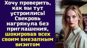 Хочу проверить, как вы тут устроились! — Свекровь нагрянула без приглашения, шокировав всех