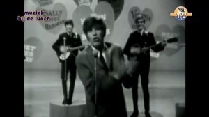 Herman's Hermits - Can't You Hear My Heartbeat (1965) 192tv