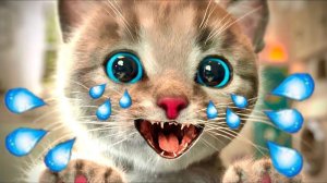 Little Kitten Adventure - Аним