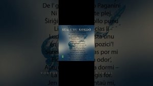 Sur unu kordo
