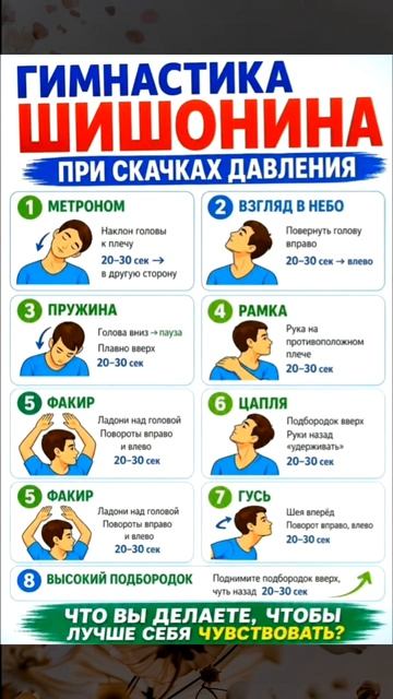 Гимнастика Шишонина