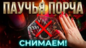 ✨ ПАУЧЬЯ ПОРЧА_ Снимаем негатив и блокируем пути врагам ❗️💯🔥
