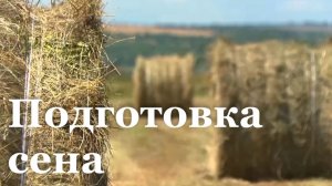 В ЛНР подготавливают сено к зиме / События недели