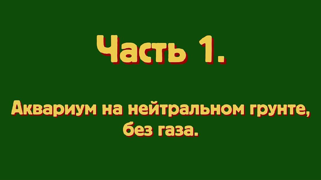 Развитие аквариума без подачи газа СО2, без удобрений, на питательной подложке.
Питательная подлож