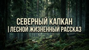 Северный капкан  лесной жизненный рассказ | Аудио рассказы