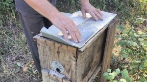 У ПЧЁЛ 🐝. Приехали домой, а тут такое.