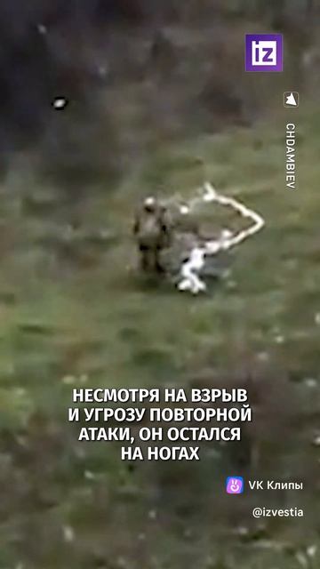 vkclips_20260606043822