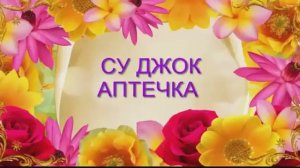 СУ ДЖОК АПТЕЧКА. ПОМОЩЬ СЕБЕ ОТ ГОЛОВЫ ДО ПОПЫ.