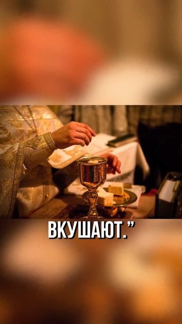 ☦ Бесы боятся 6 вещей. Самый главный страх бесы открыли святому. Запомни, чтобы защититься!🙏 смотреть онлайн
