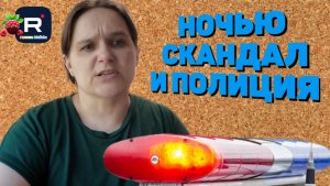 Ночью скандал и полиция /Семья Бровченко Обзор