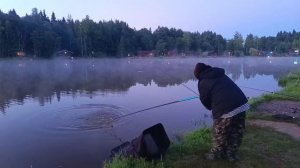 поимка карпа на опарыша
