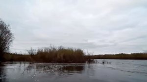 Рыбалка сетями, выезд на любимую реку.