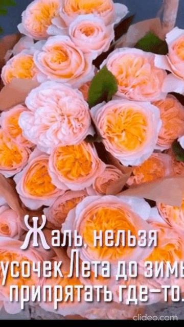 ЗАГАДАЙ ЖЕЛАНИЕ. Shorts. смотреть онлайн