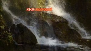 10 интересных фактов о природе.