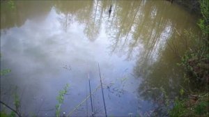 ✔История про смелого зайца🐰. Рыбалка🎣 на лесном пруду💧✔