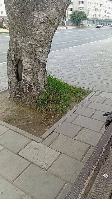 1000063430.mp4красавчики