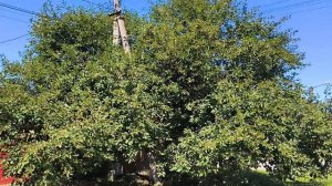 Белгород микрорайон новый два прогулка
