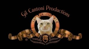 Котики и Кино