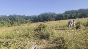 Собрались на покос🌿🌿🌿