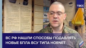 Подразделения ВС РФ нашли способы подавлять новые БПЛА ВСУ типа Hornet