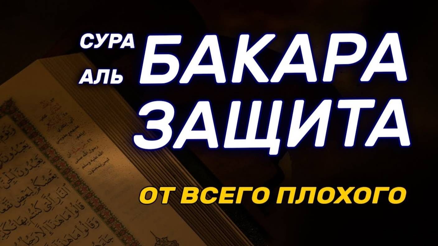 СЛУШАТЬ ПЕРЕД СНОМ. Сура Бакара. Коран