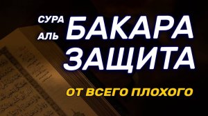 СЛУШАТЬ ПЕРЕД СНОМ. Сура Бакара. Коран