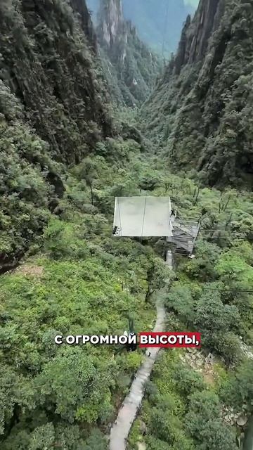УПАЛА в пропасть?