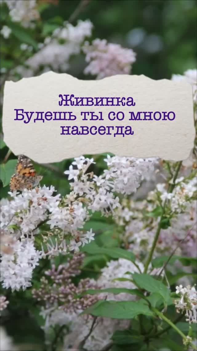 Будешь ты со мною навсегда
