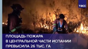 Площадь пожара в центральной части Испании превысила 26 тыс. га