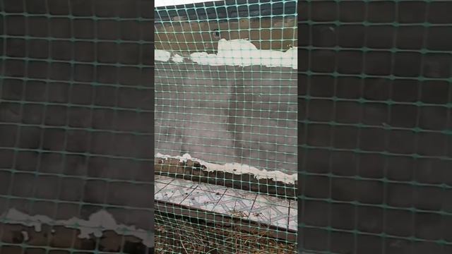 1000340105.mp4 смотреть онлайн
