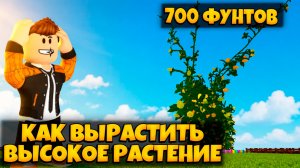 КАК ВЫРАСТИТЬ ВЫСОКОЕ РАСТЕНИЕ В ВЫРАСТИ САД 2 | GROW A GARDEN 2 ROBLOX ЛЕОЛЕВ