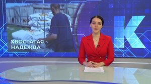 Новости Калининграда — итоги дня, 20.07.2026