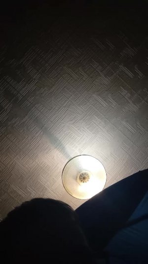 друзья