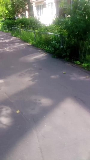 бузланова 2