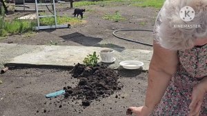 20-07-2026 ДОМАШНИЕ ХЛОПОТЫ🤣🤣🤣